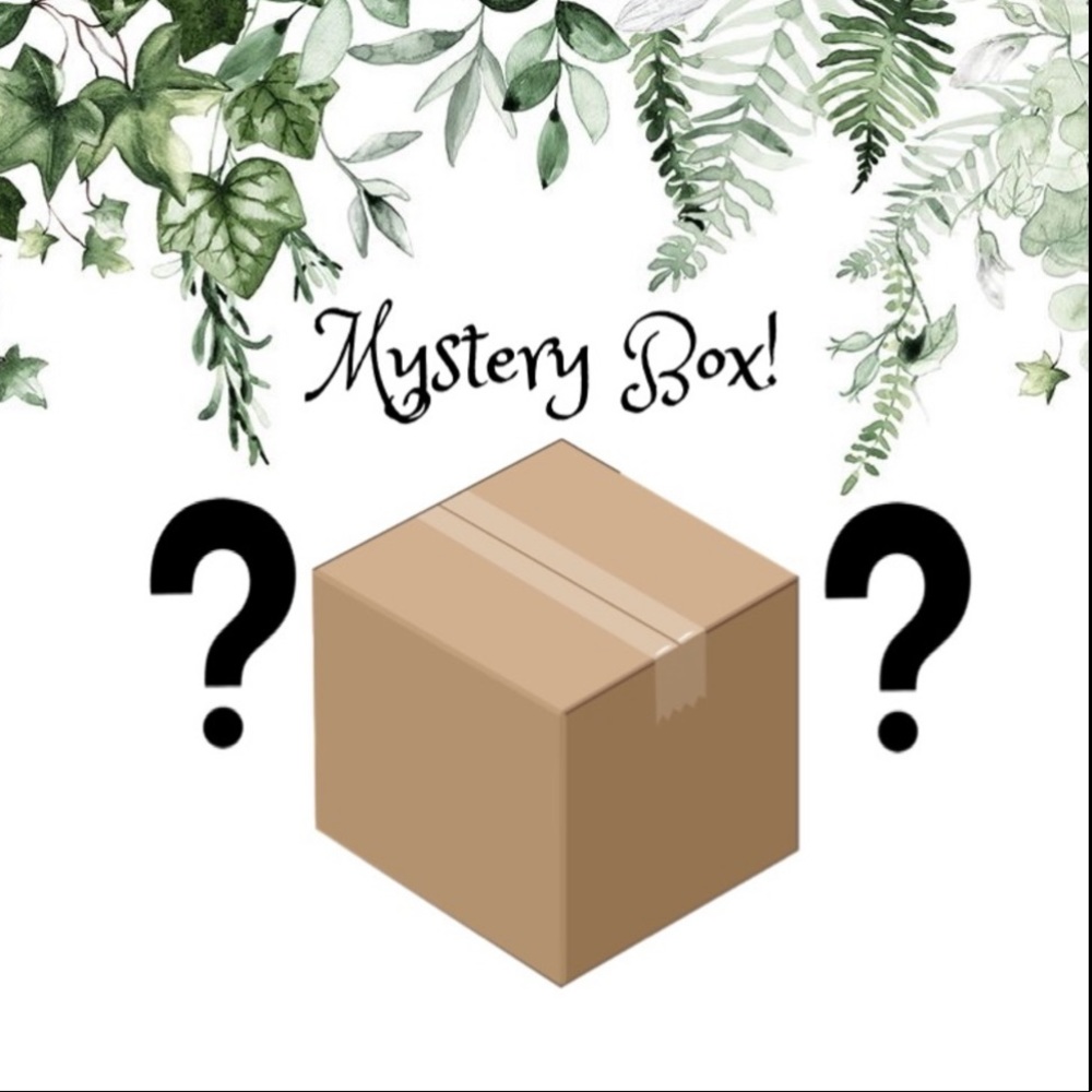 Women’s Business Casual Mystery Box